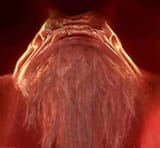 ESCHARUN