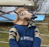 howdoyoudofellowhorses