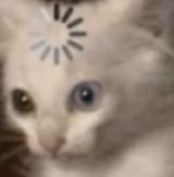 1627212902749