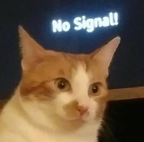 noSignal