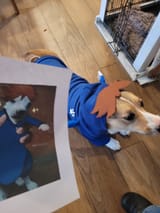 Hero Dog @spinnileaf