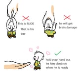 how hold boy tutorial