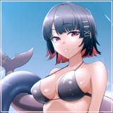 shork