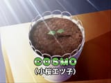 Cosmo_seed_ep_78
