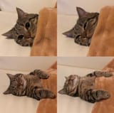 1740665591315133