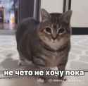 1629237228645_thumb.jpg