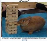 gamer