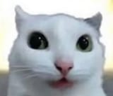 Gtb4aEea0AAPj4j