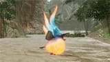 spiritbirb