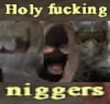 holy fucking niggers