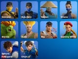 fighting game skins