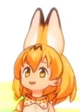 when your IQ can&#039;t 下げる any further