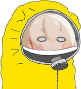 sophazmat