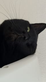 GtVcviSakAAeTRz