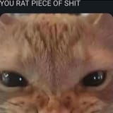 1743988514322744