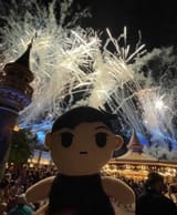 fireworks @thesillyisdead