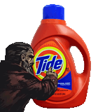 HowTideTheTurnsQuickly