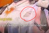 1732300276381618