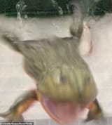 Primal Rend Frog