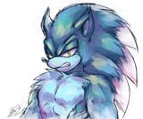 sonicwerehog