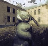 bear