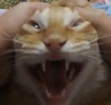 aaaaaaaaaAAAAAAGHHh