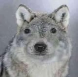 1725025876472312