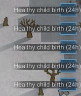 firstbirth