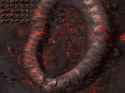 -pol-508150416_thumb.jpg