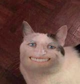 1702125021932600