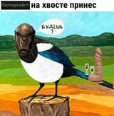 poltergeist na khvoste prines
