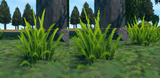 newgrass