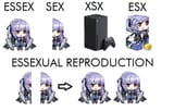 259306993