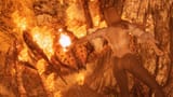 just torch things