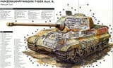 royal tiger