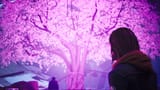 Sakura