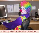 clown world