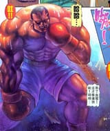 boxer