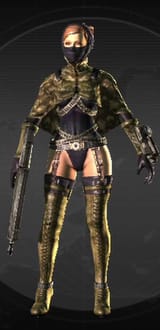 Ff_sandraider