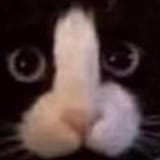 1696661406209500