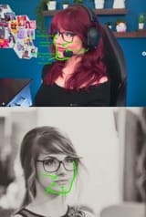kiwicomparison