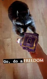 go do a freedom 2