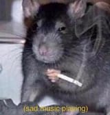 ratass