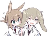 kimika36