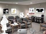 THE WAITING ROOM OF UNENDING PAIN and soft adult contemporary