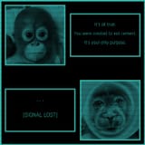 1704378856833418