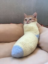 1723862918923549