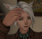 ffxiv_dx11_FwMdAPFDdl