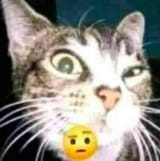 1707564747354849