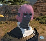 ss